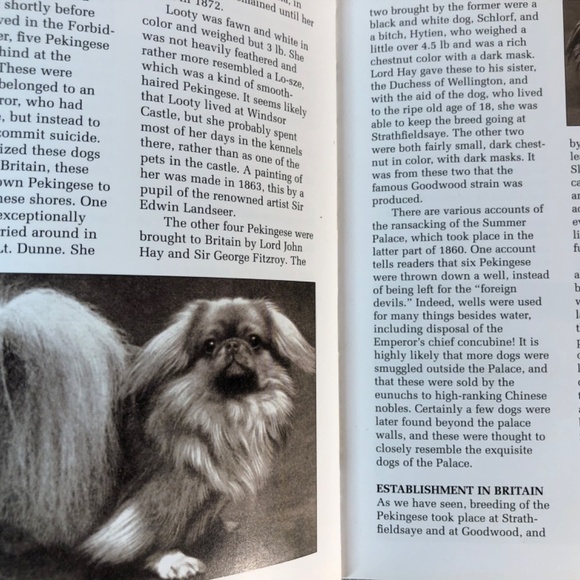 Pekingese : A Comprehensive Guide to Owning and Caring for Your Dog Hardcover - Picture 4 of 6
